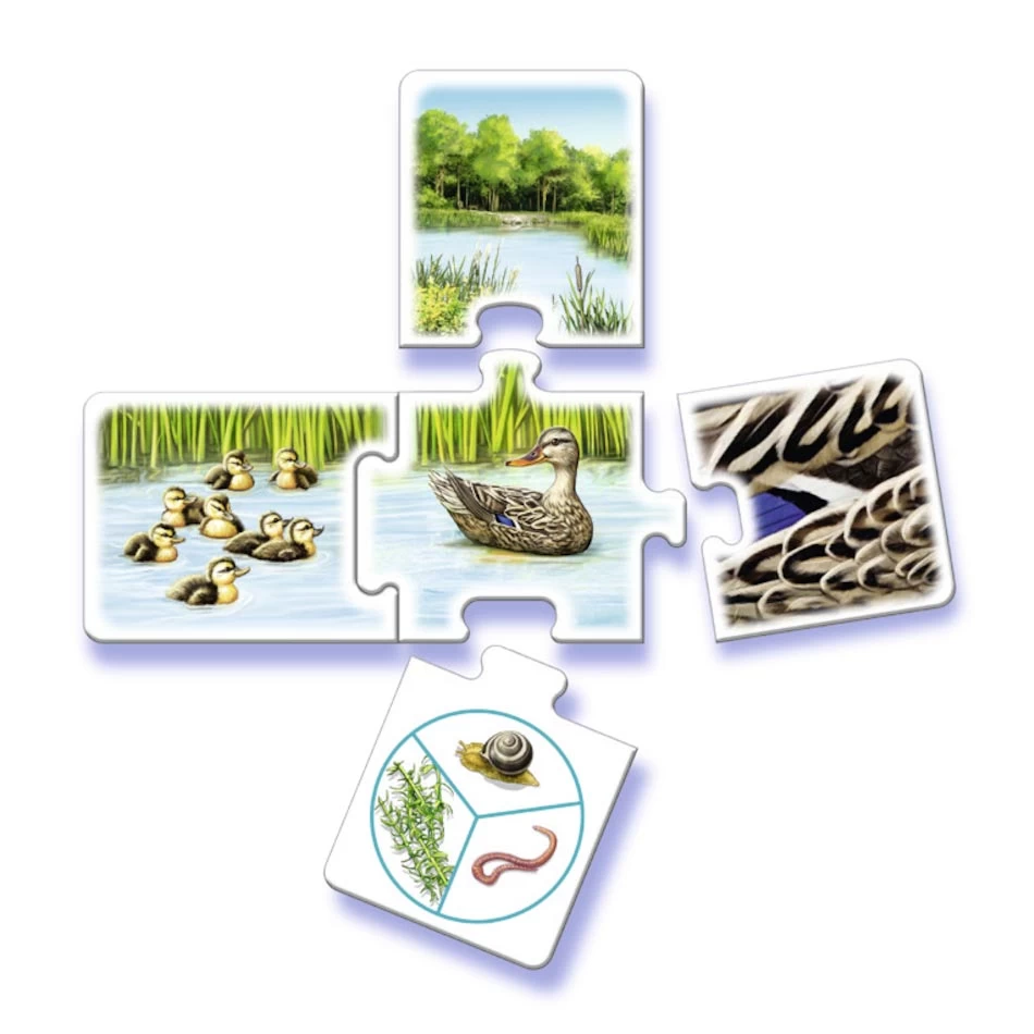 Ravensburger Tiptoi Al Mijn Dieren 4 Ravensburger Tiptoi Al Mijn Dieren - Afbeelding 2