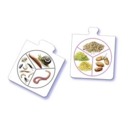 Ravensburger Tiptoi Al Mijn Dieren 8 Ravensburger Tiptoi Al Mijn Dieren -Bordspellen 2340565c