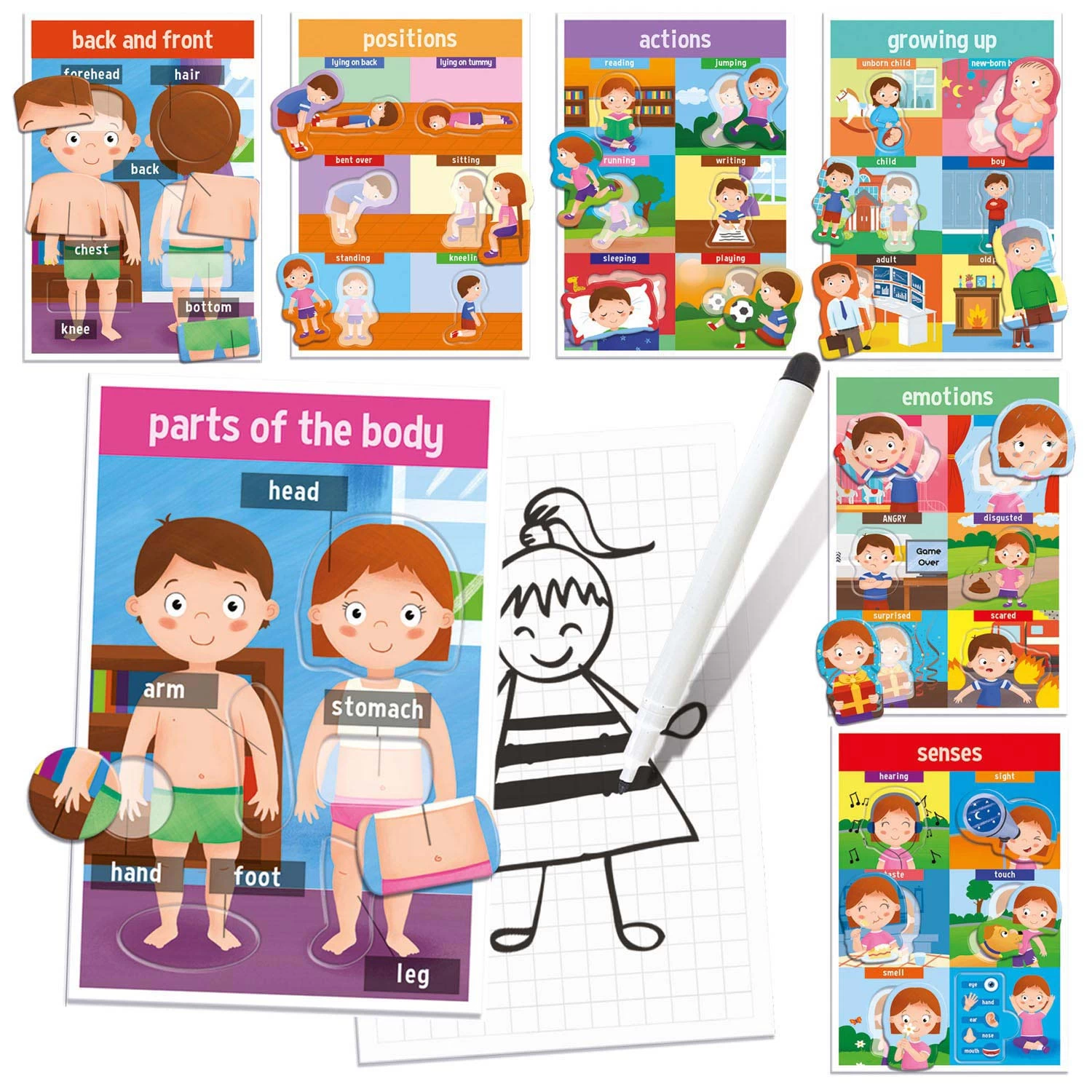 Headu How We Are Made Vormen En Tekenspel (EN) 4 Headu How We Are Made Vormen En Tekenspel (EN) - Afbeelding 2