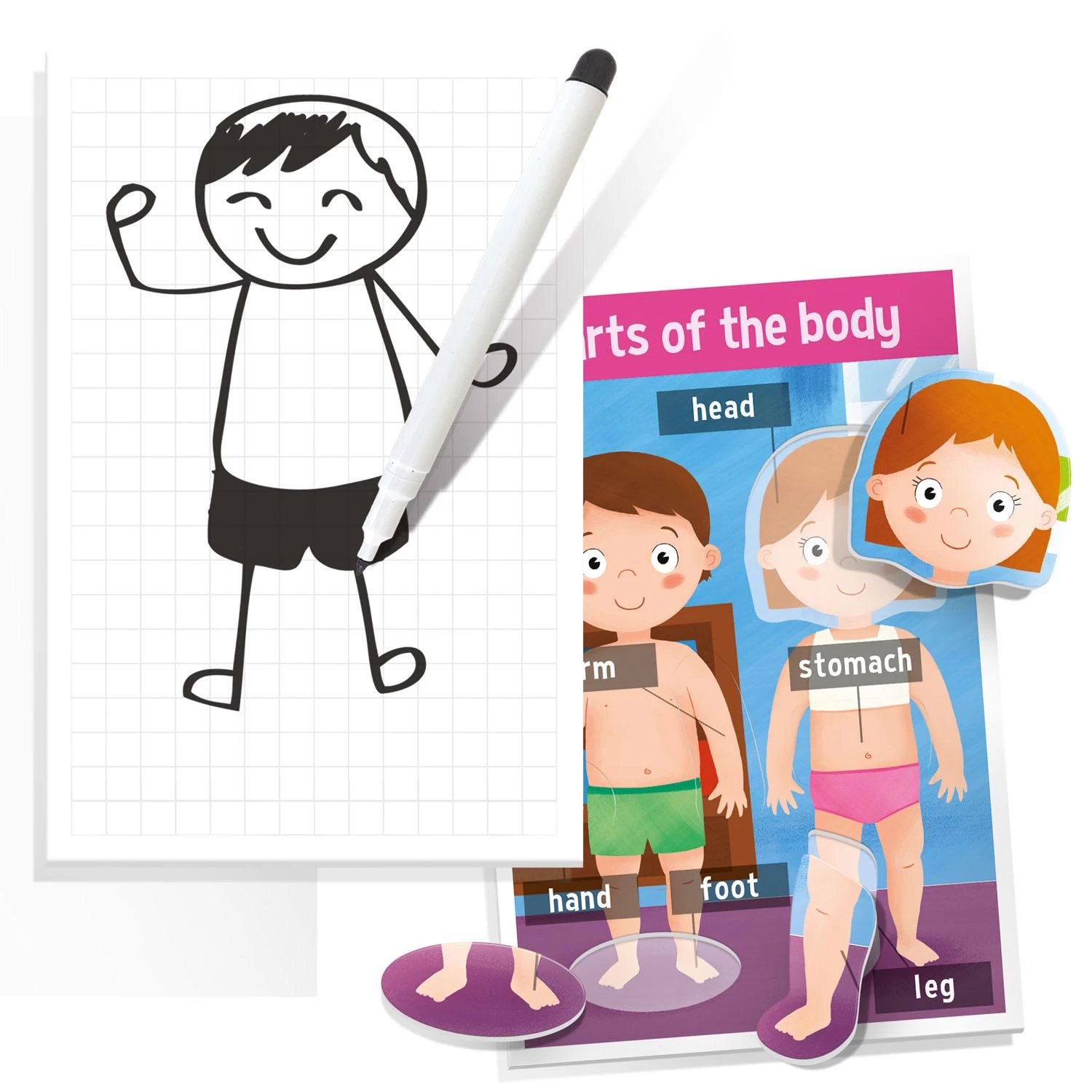 Headu How We Are Made Vormen En Tekenspel (EN) 5 Headu How We Are Made Vormen En Tekenspel (EN) - Afbeelding 3